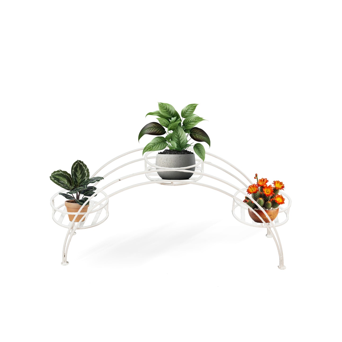 Crescent shape premium plant stand for pots