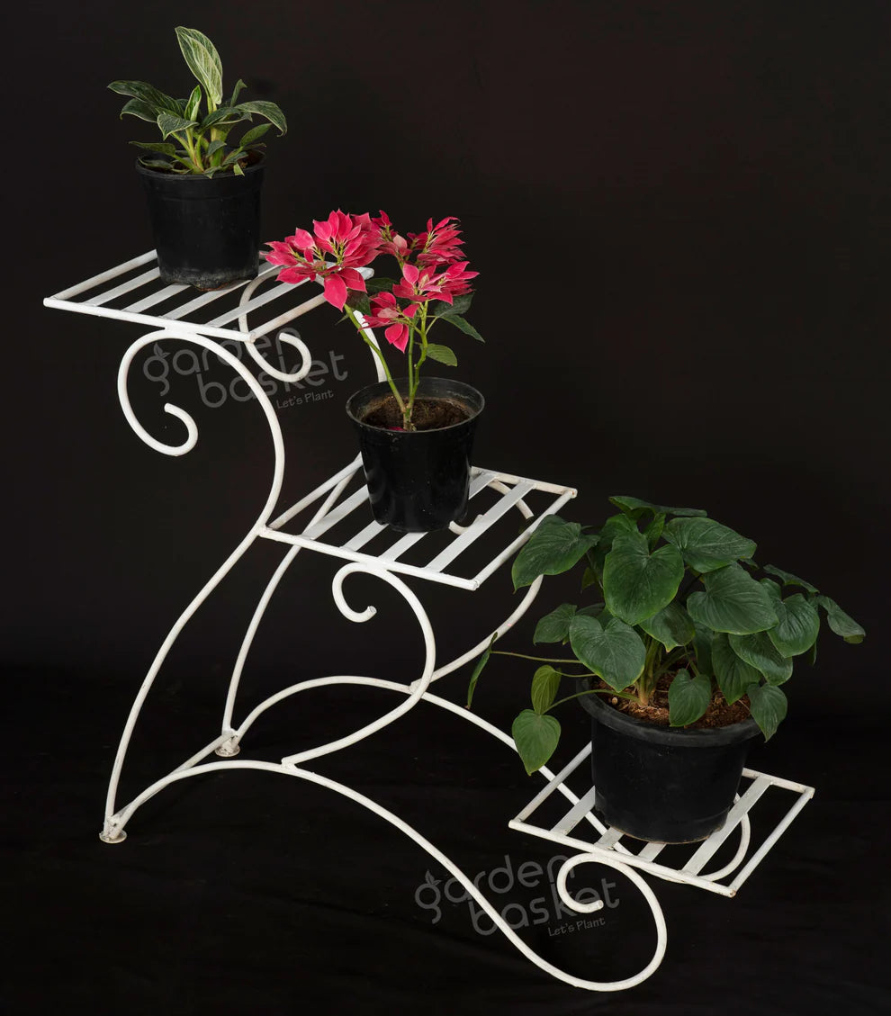 Three tier Plant Stand