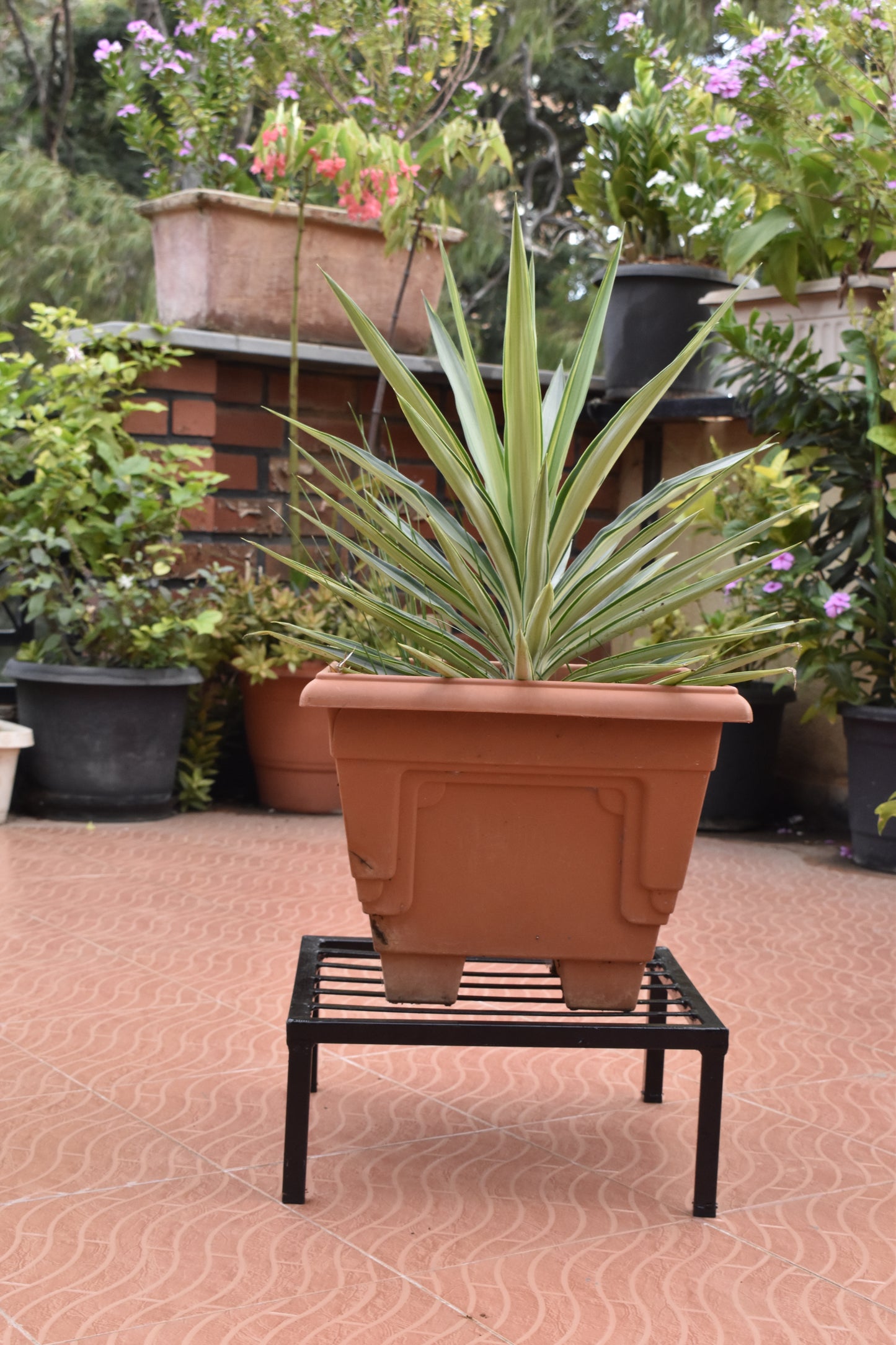 Square Latin Metal Plant Stand(15 inch)