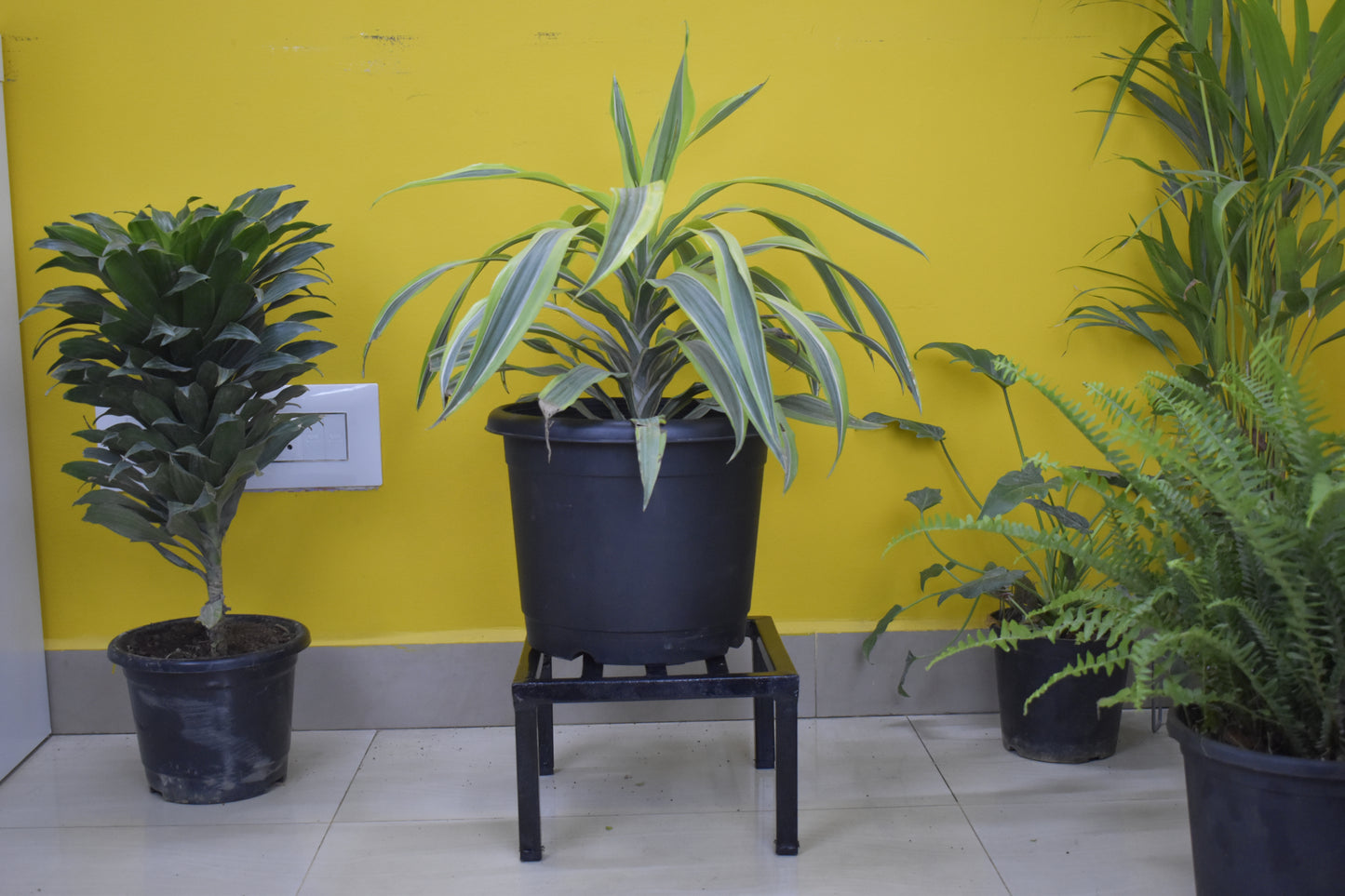 Square Latin Metal Plant Stand