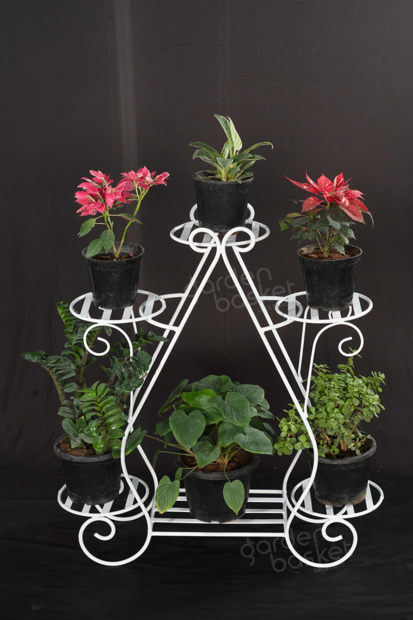 Classy crest plant stand for plants