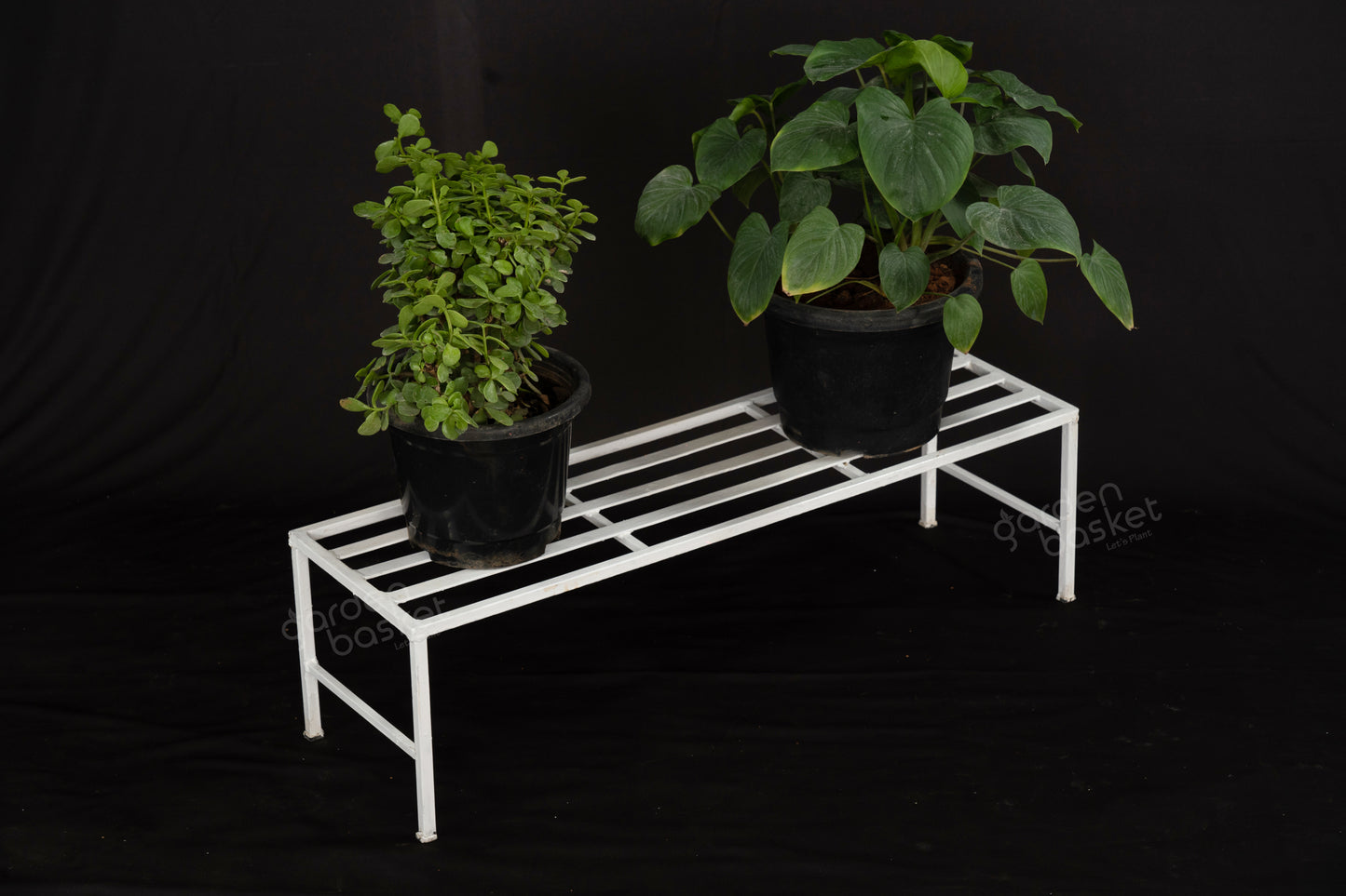 Rectangle Shape One Step Plant Stand
