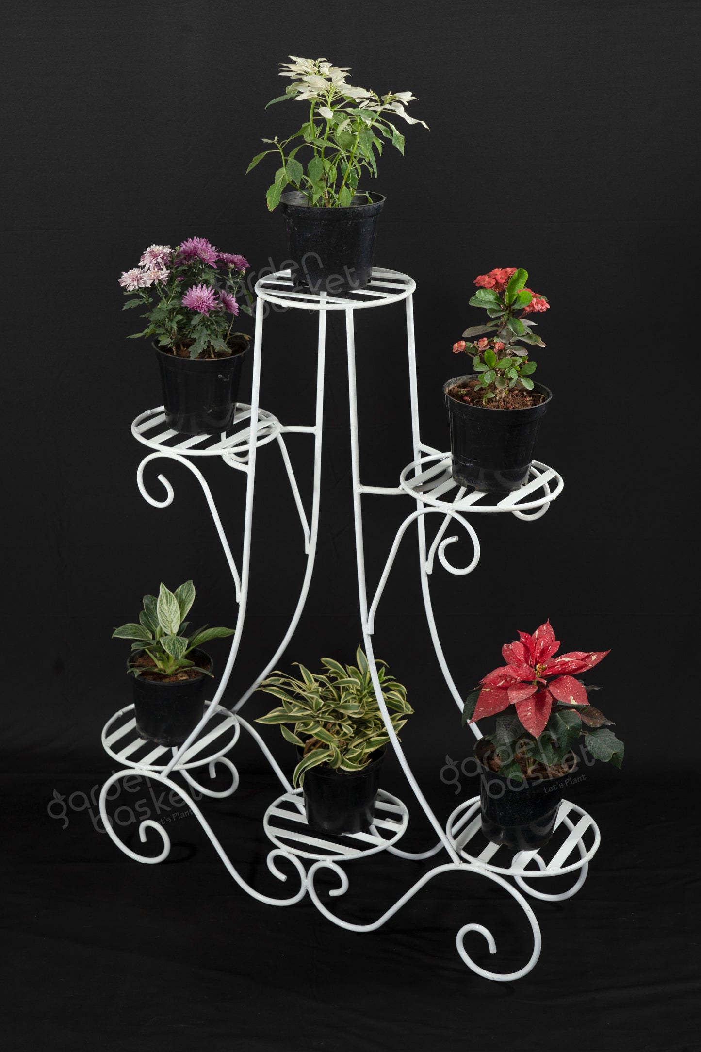 Six Plant Stand