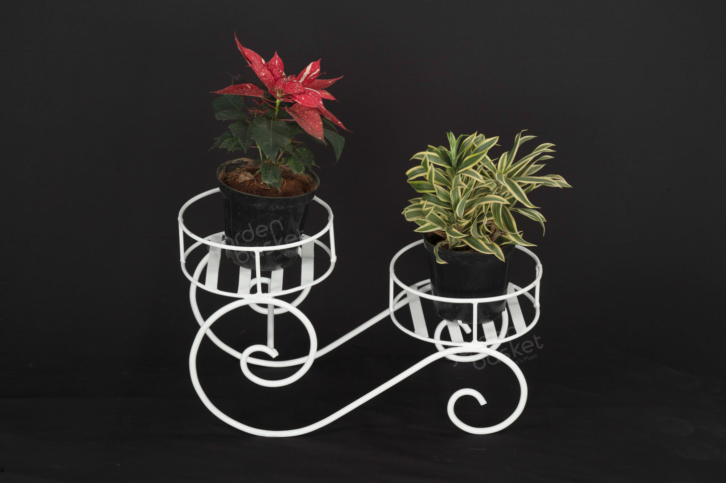 Sapphire Dual bucket Plant Stand