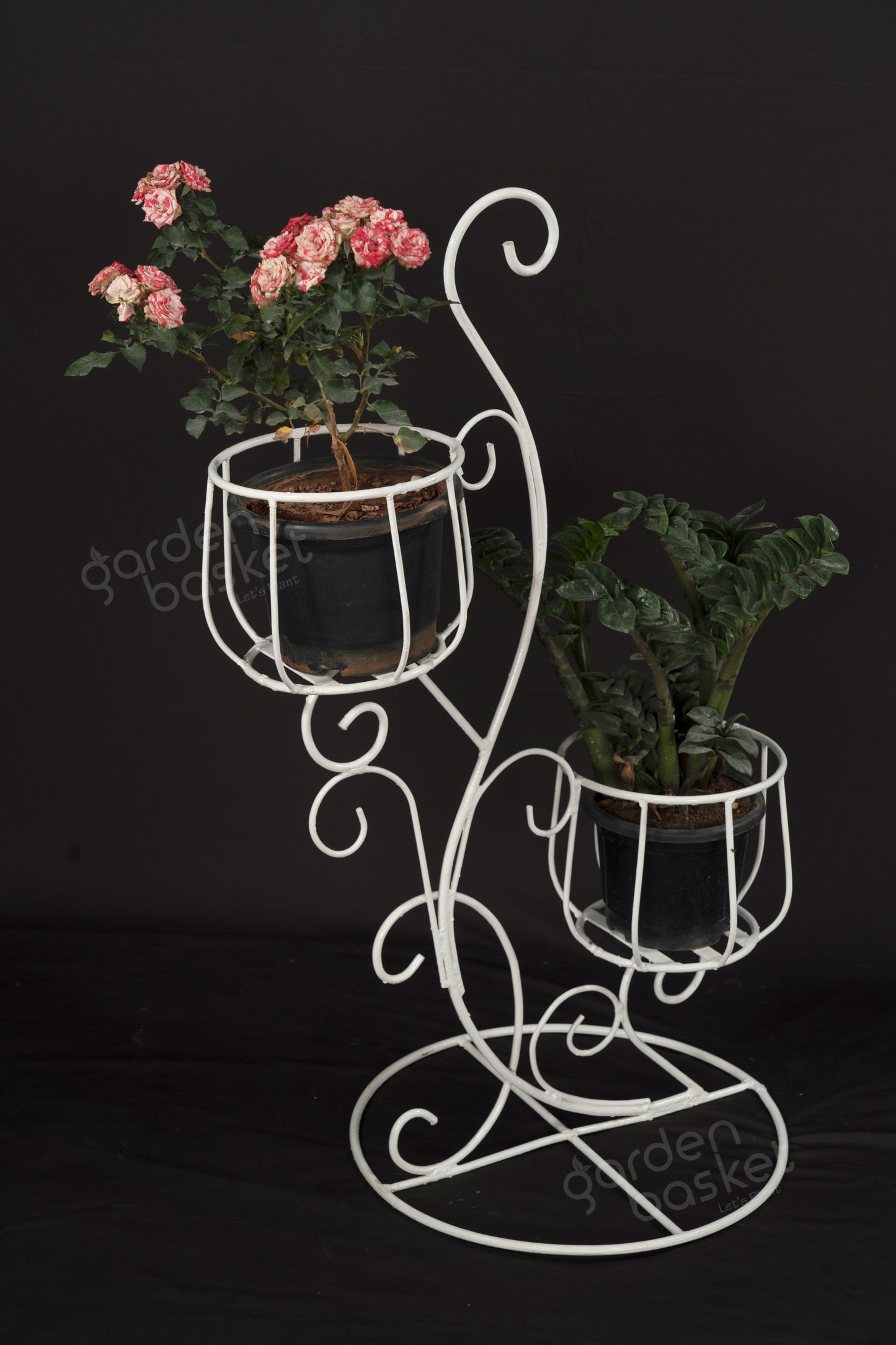 Axinite Dual Bucket Plant Stand