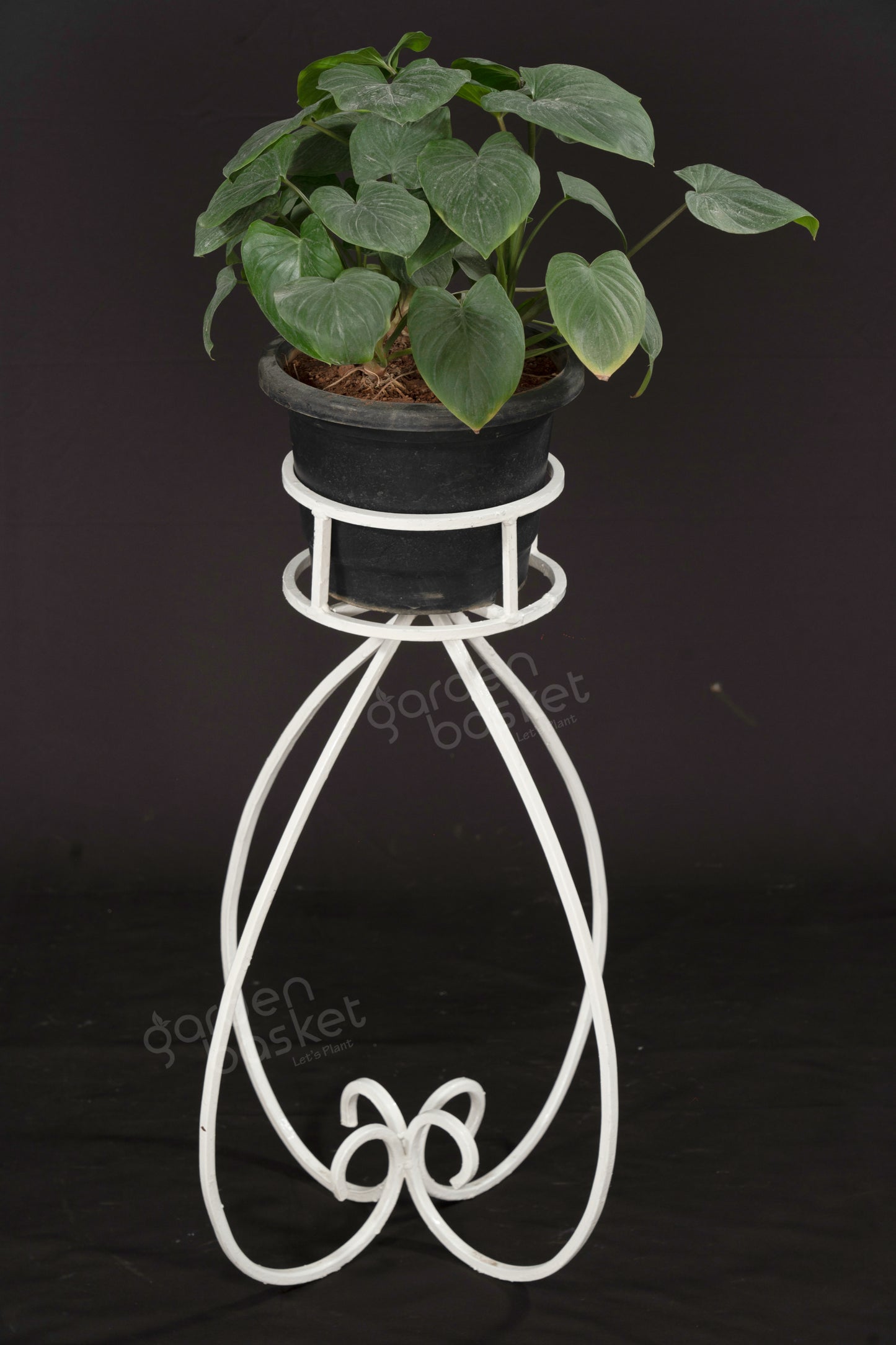 Beryl Round Plant Stand
