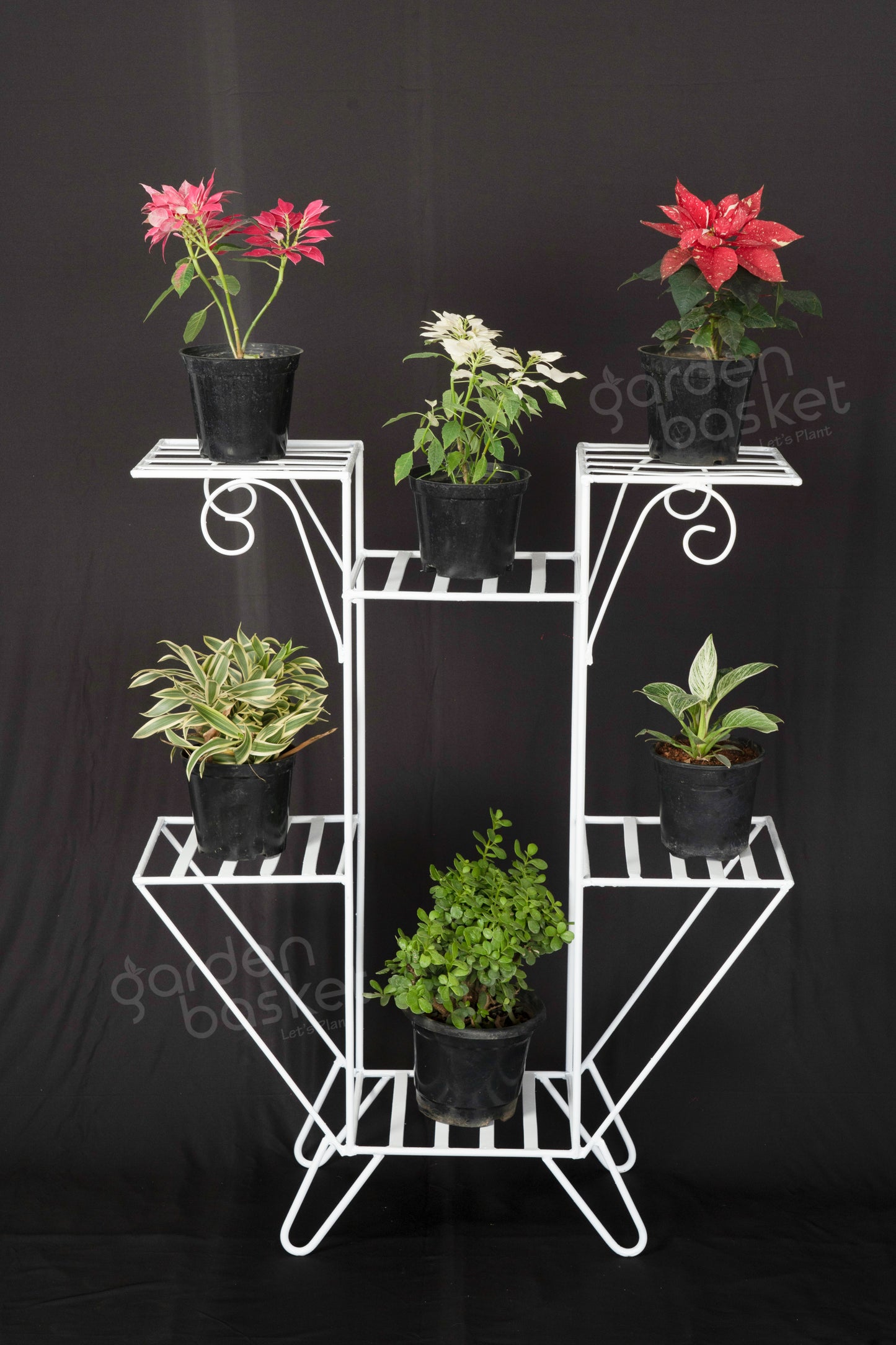 SleekStyle display plant stnd for plants