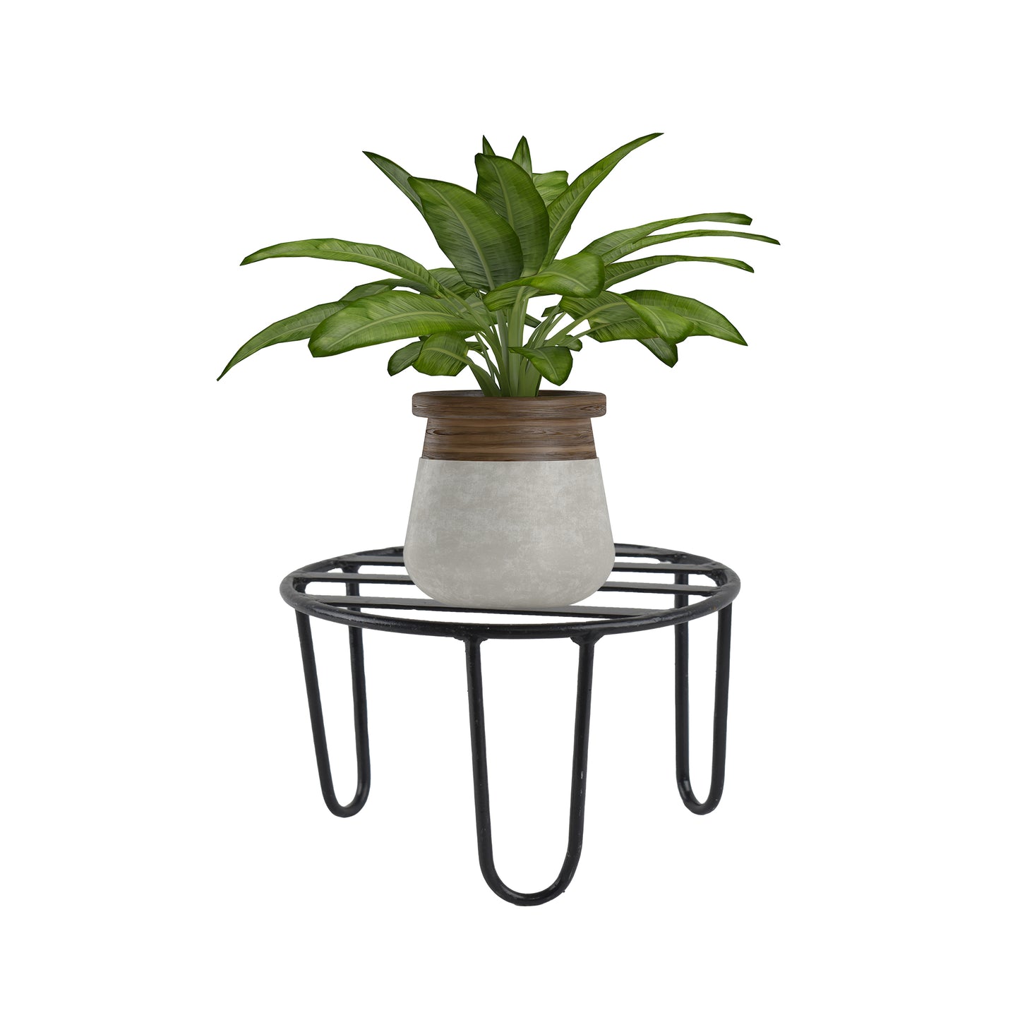 Alpha plant stand for plants (PSS10DW0001)