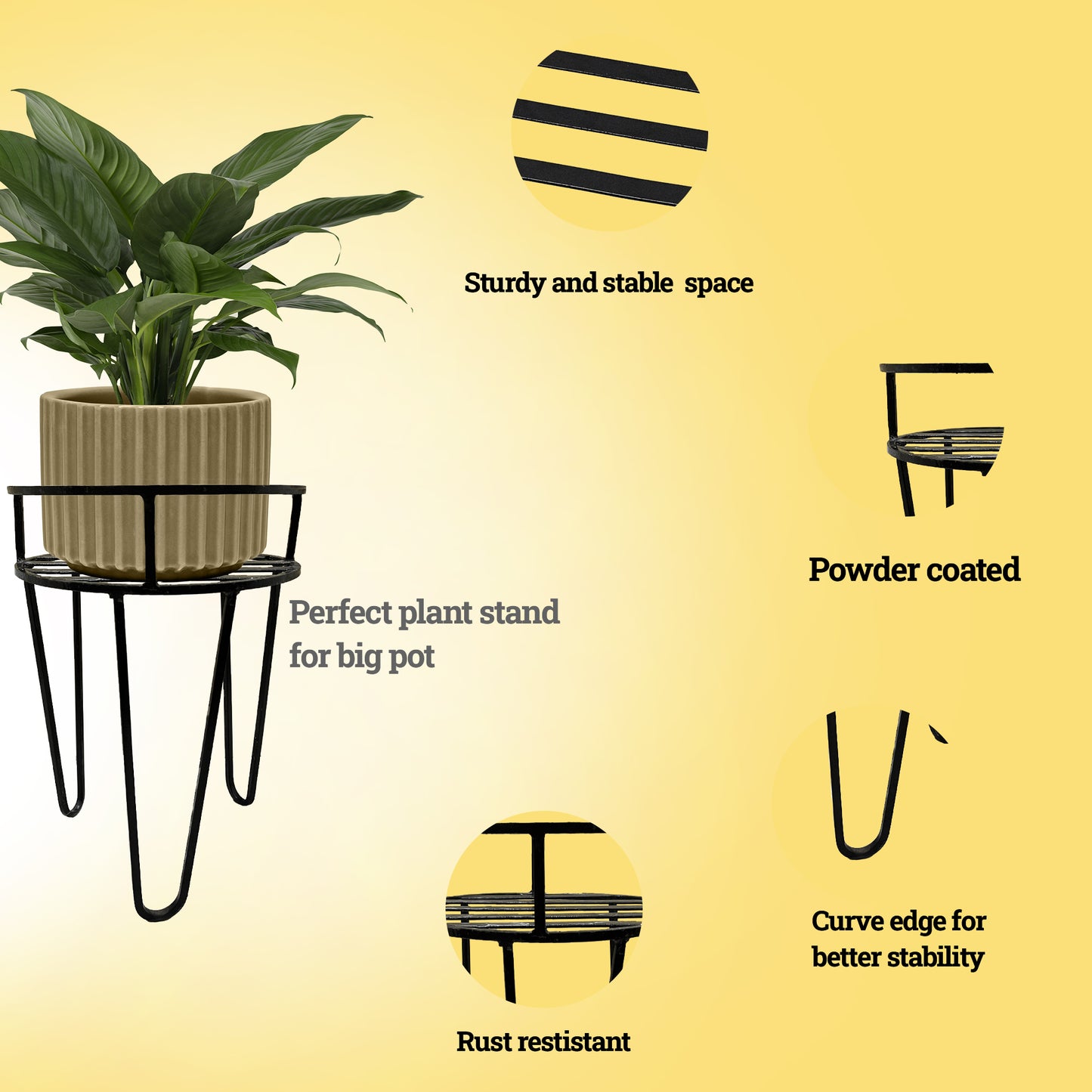Top Ring Single Pot Stand for Plant