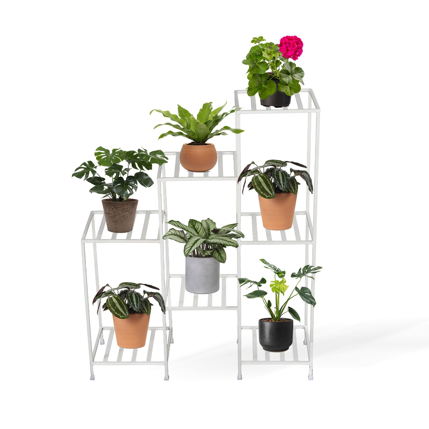 Seven Plant Stand