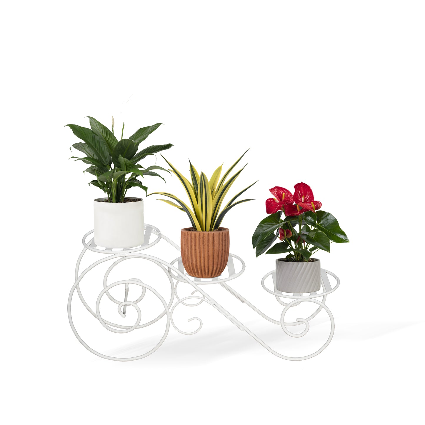 Three Plant Stand
