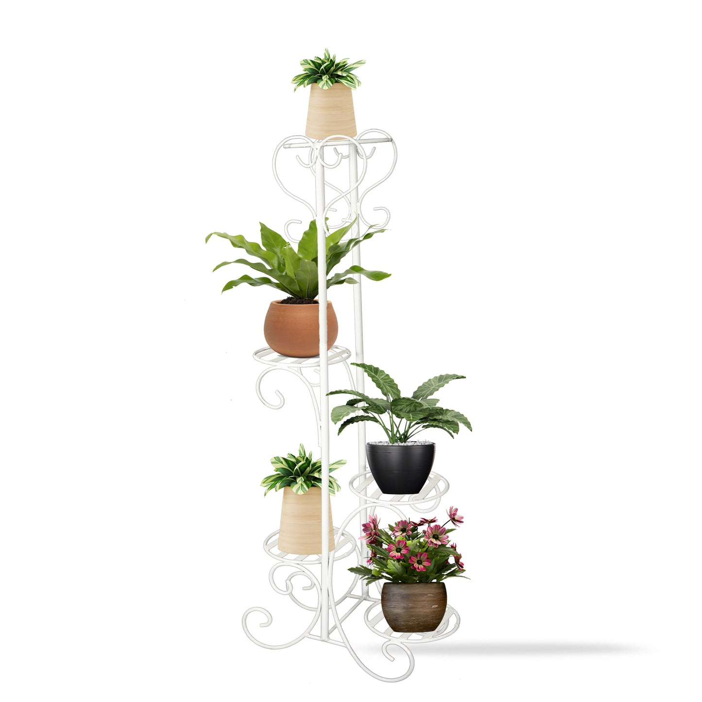 TallElegance Display plant stand for plants
