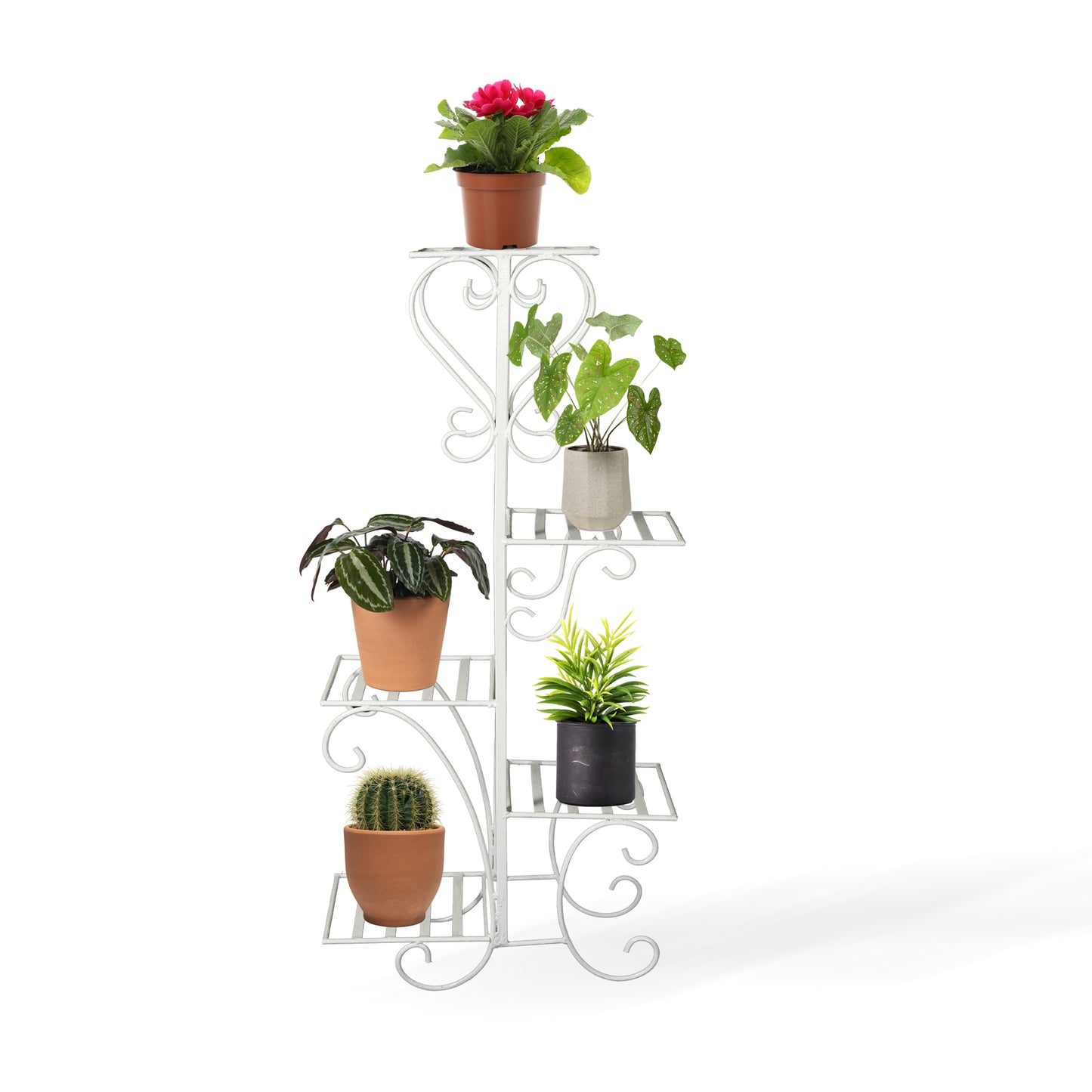 Skyhigh plant stand for plants