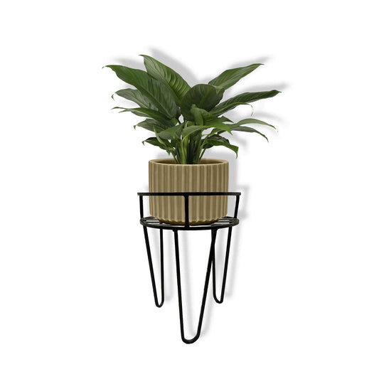 Top Ring Single Pot Stand for Plant