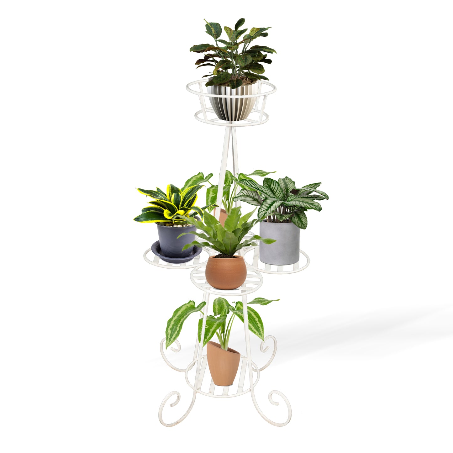 TallTranquil Rack plant stand