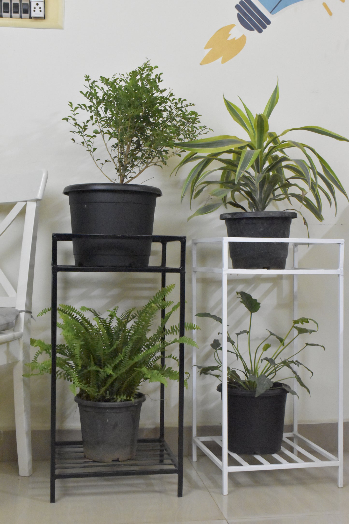 Top Ring Tulasi Plant Stand