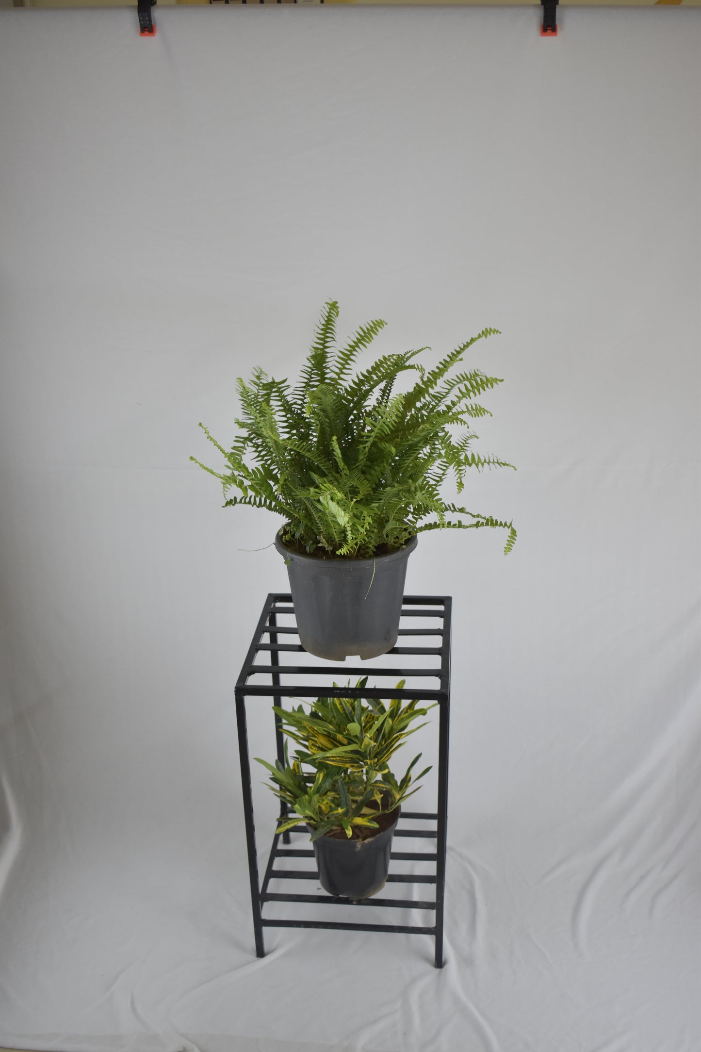Tulasi Double Pot Stand