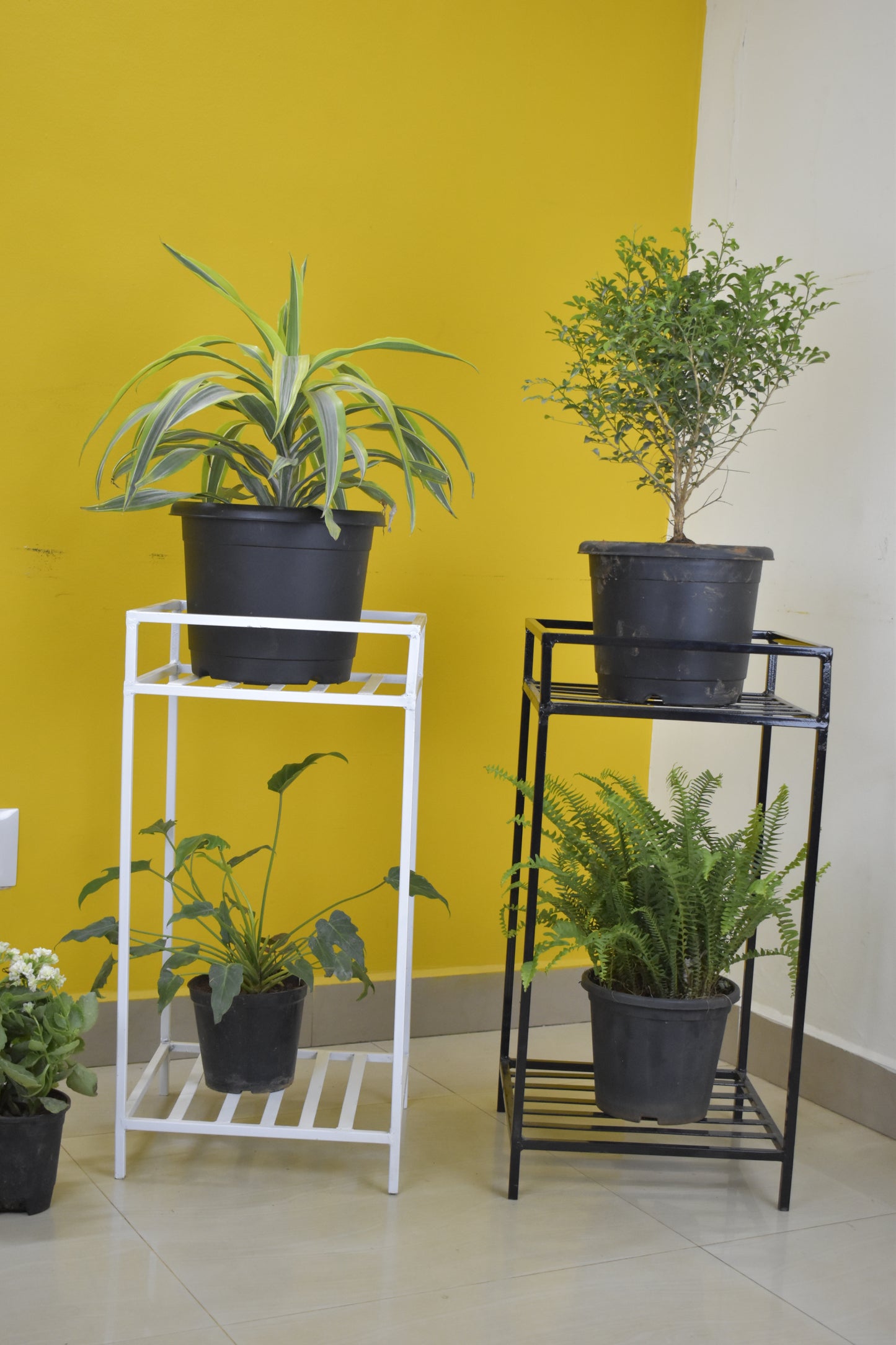 Top Ring Tulasi Plant Stand