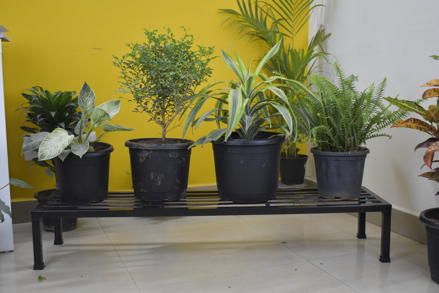 Polver plant stand for pots(48 inch)