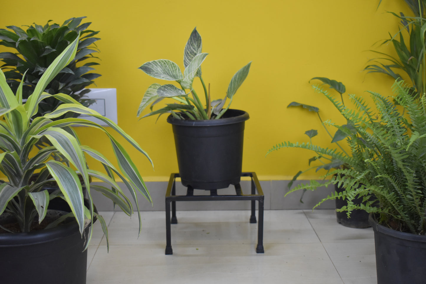 Square Latin Metal Plant Stand