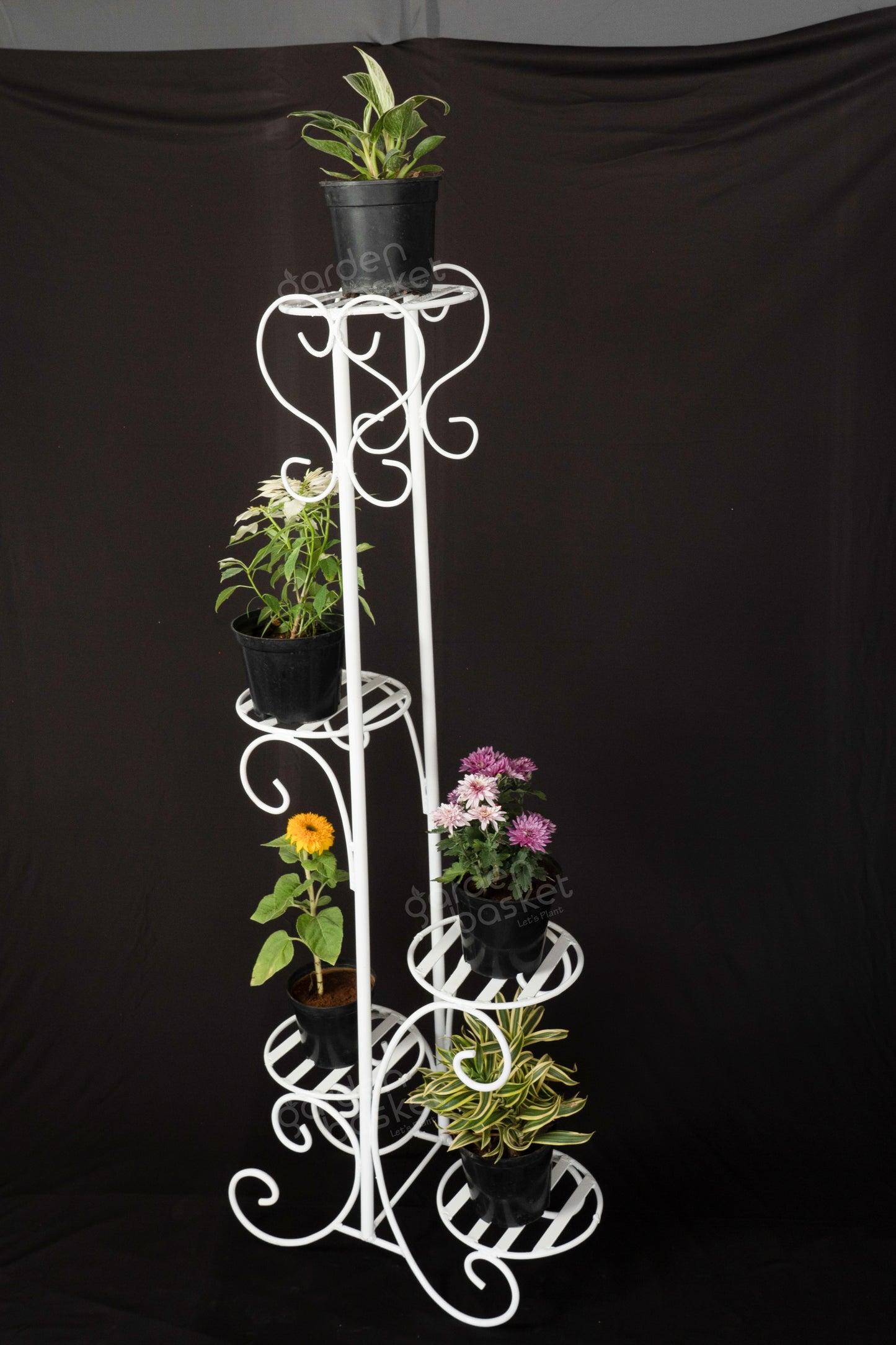 TallElegance Display plant stand for plants