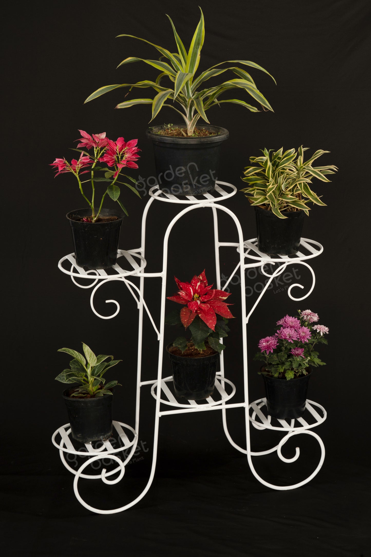 Astonish greenery plant  stand for plants