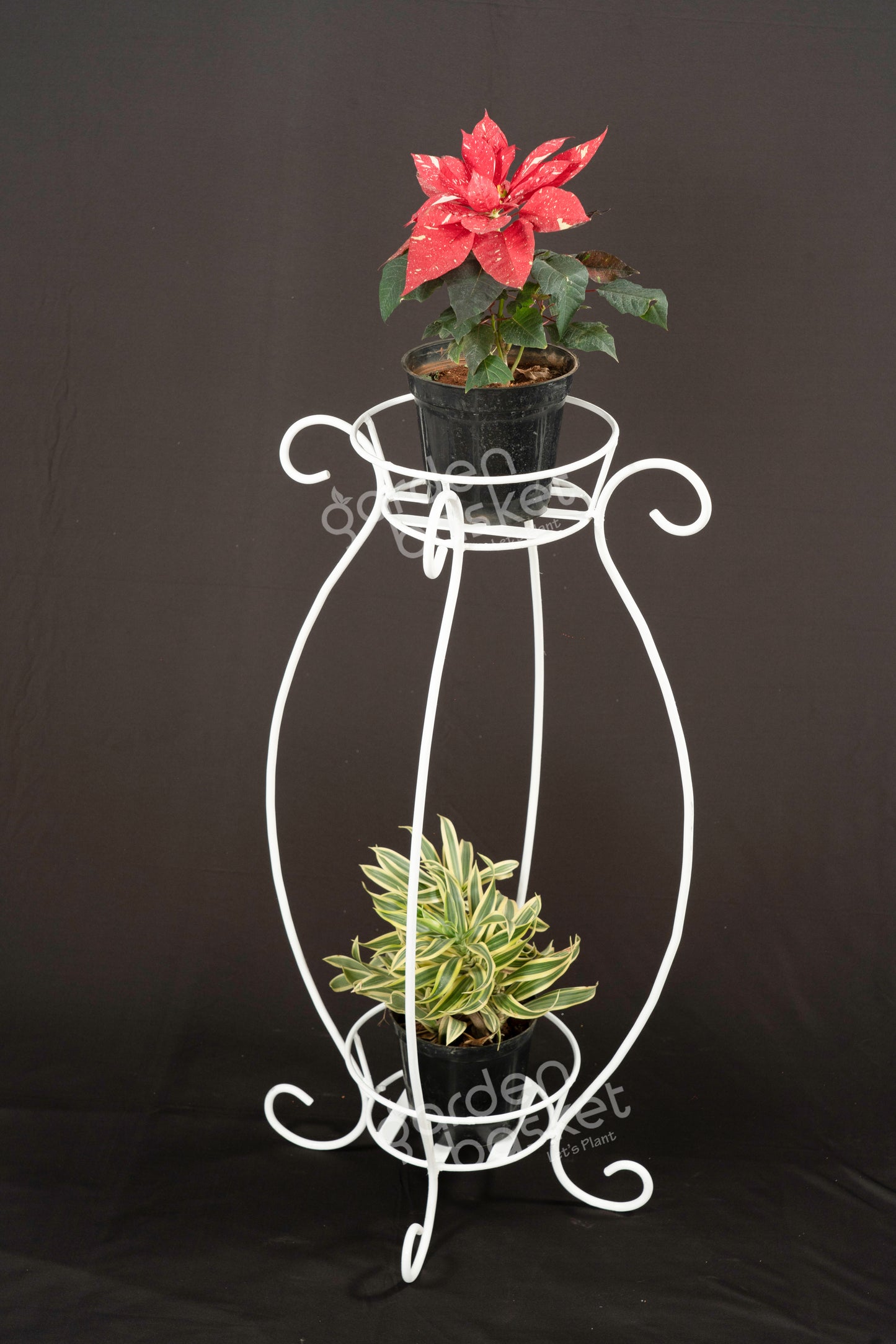 Aster Dual Bucket Plant Stand