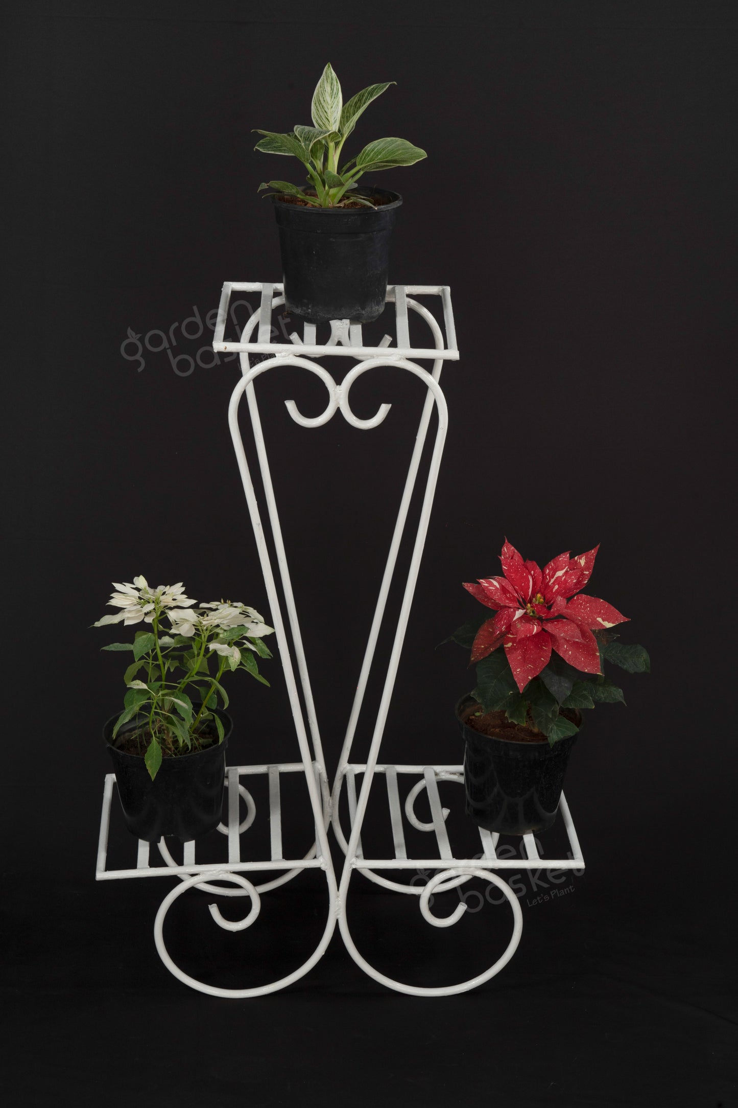 Three Plant Stand