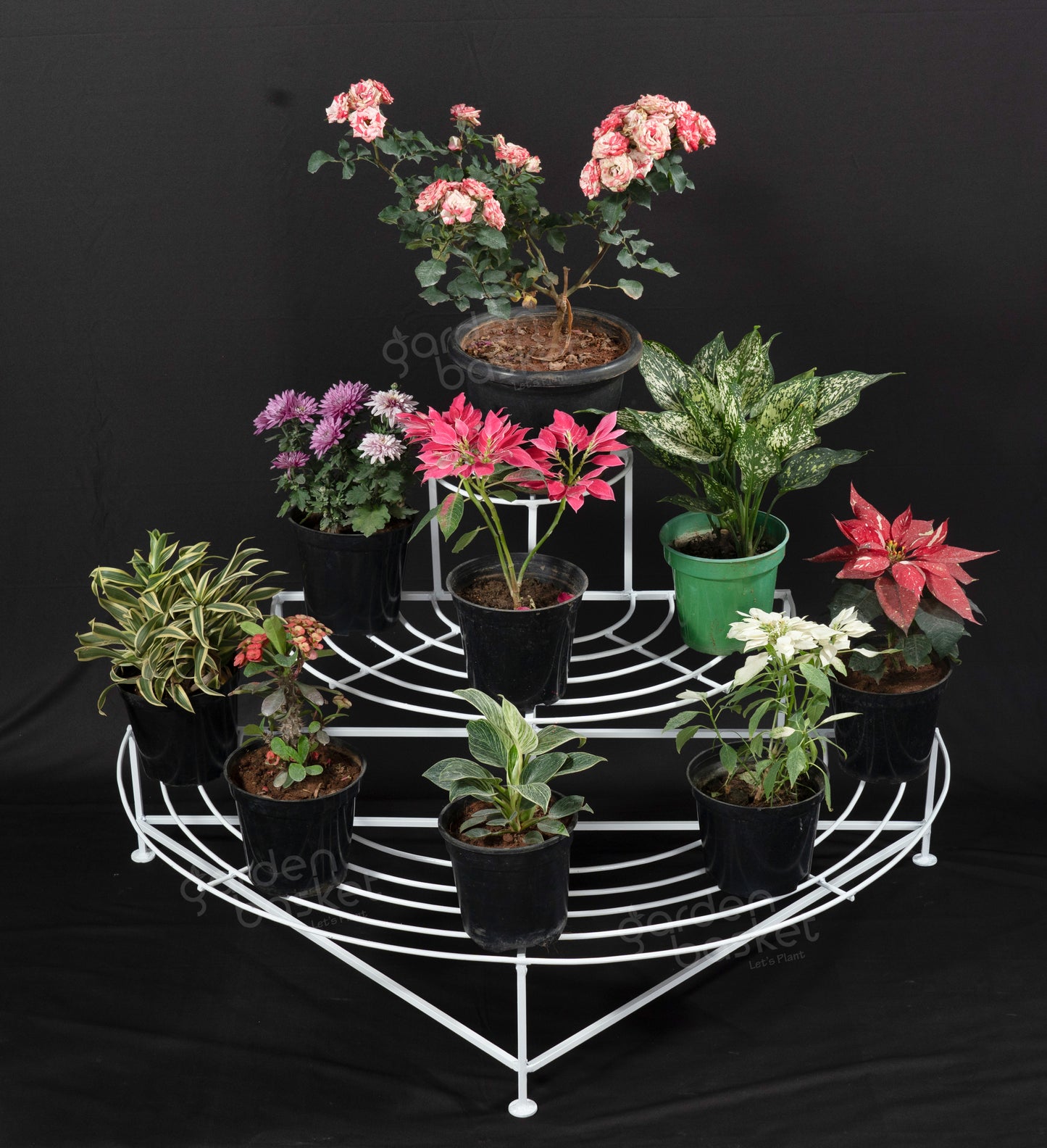 Seven Plant Stand
