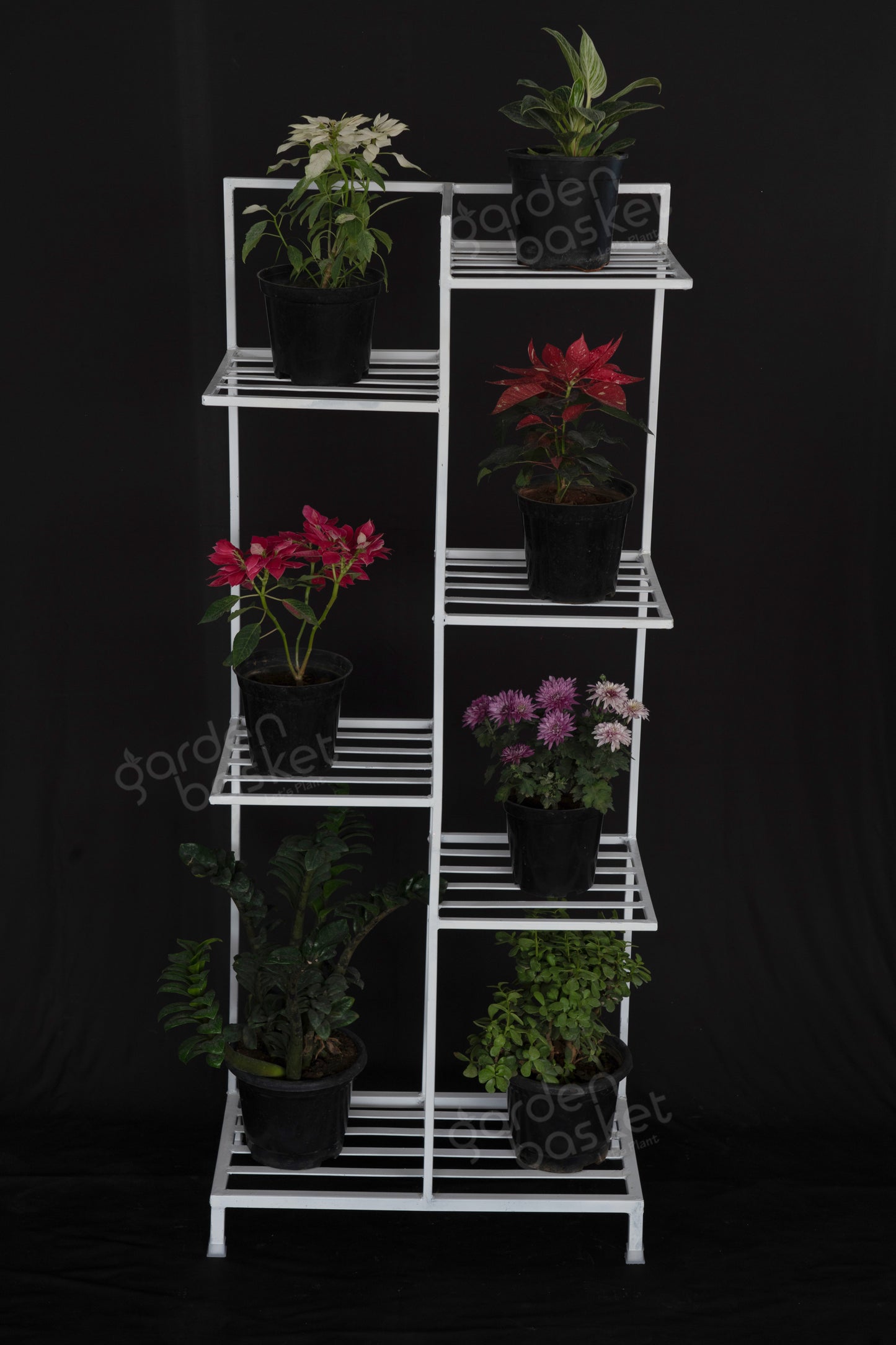 Seven Plant Stand