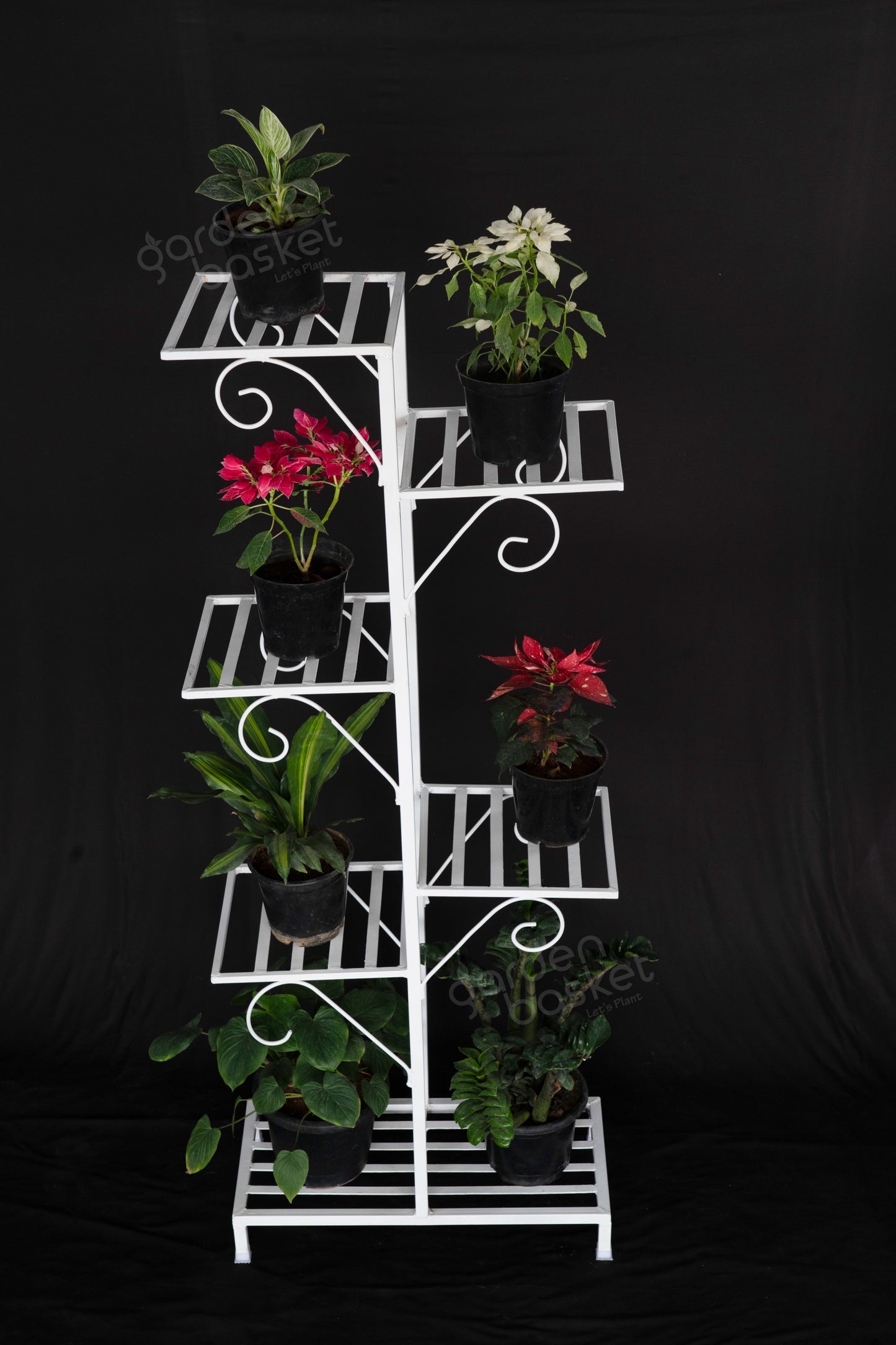 Seven Plant Stand