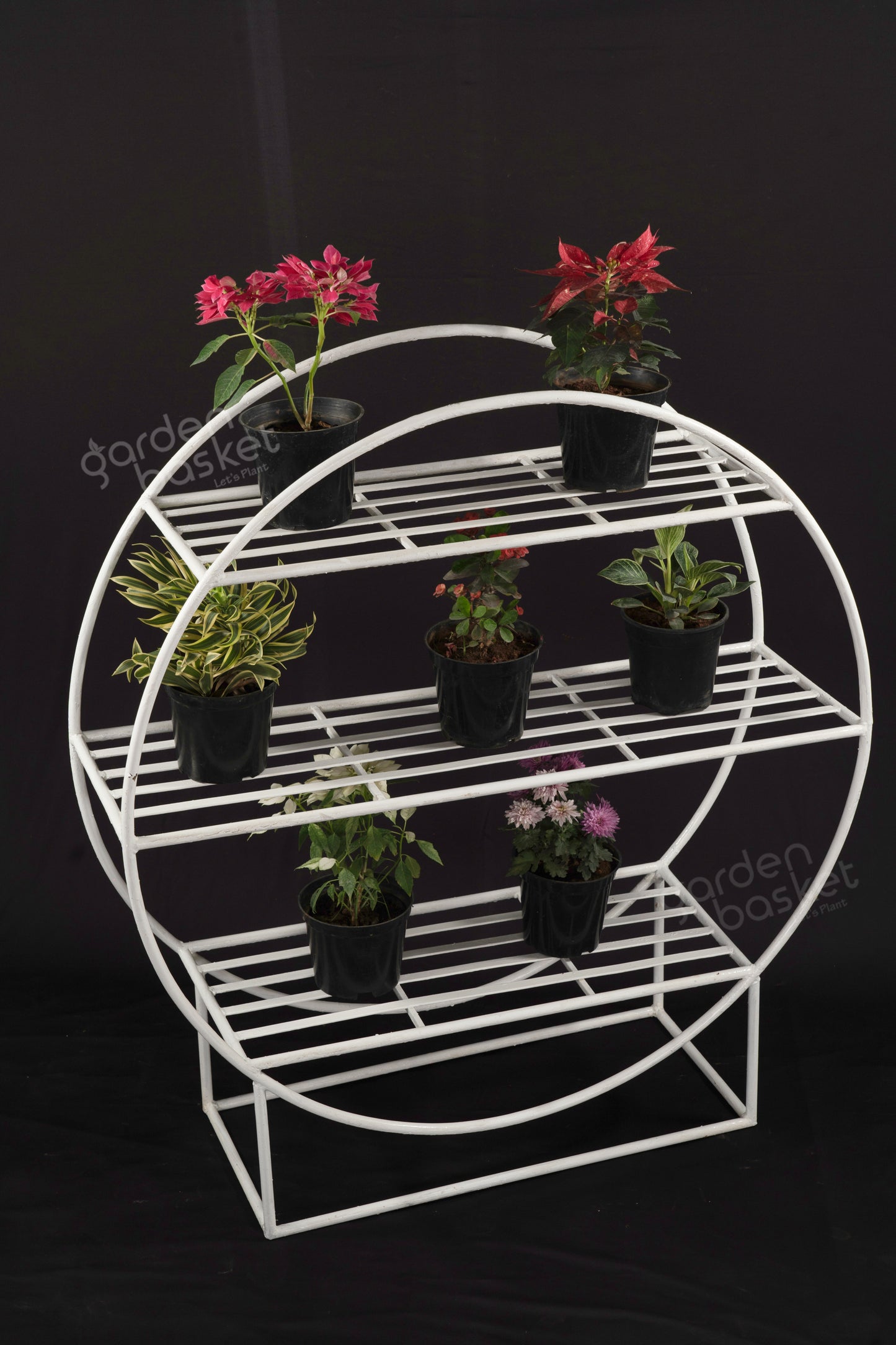 Nine Plant Stand