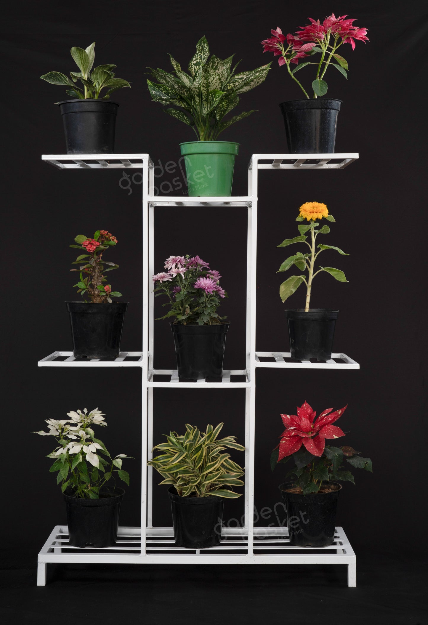 Nine Plant Stand