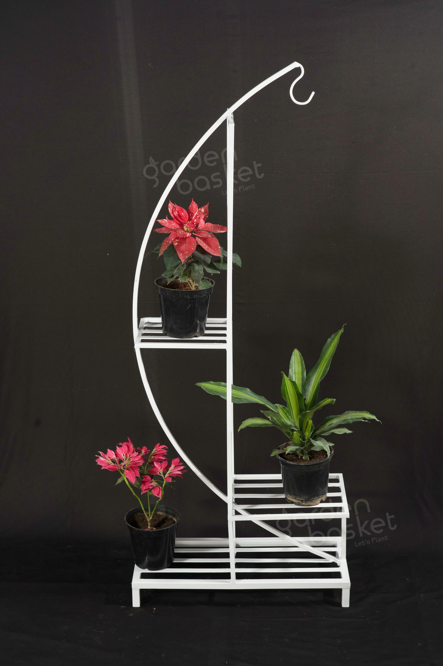 D designed Tall plant Stand