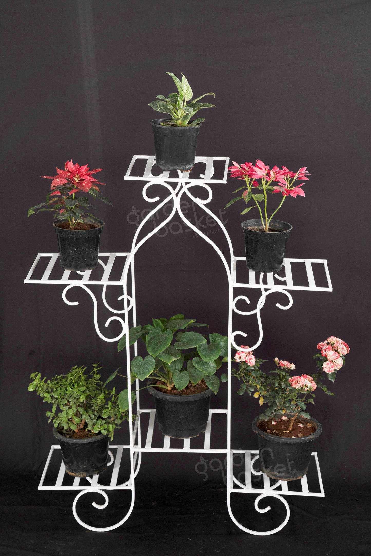 Astonish Greenery model 2 plant stand