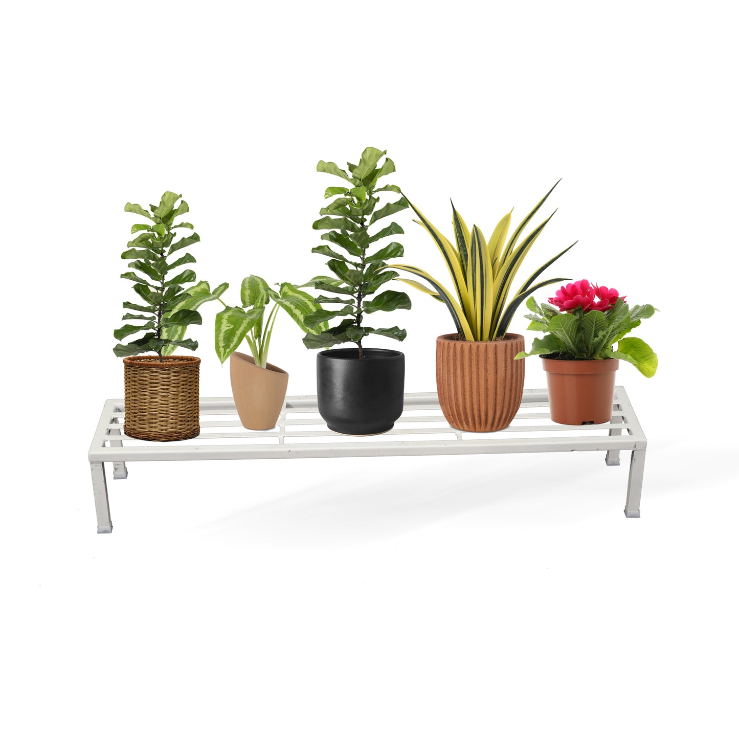 Rectangle Shape One  Step Plant Stand