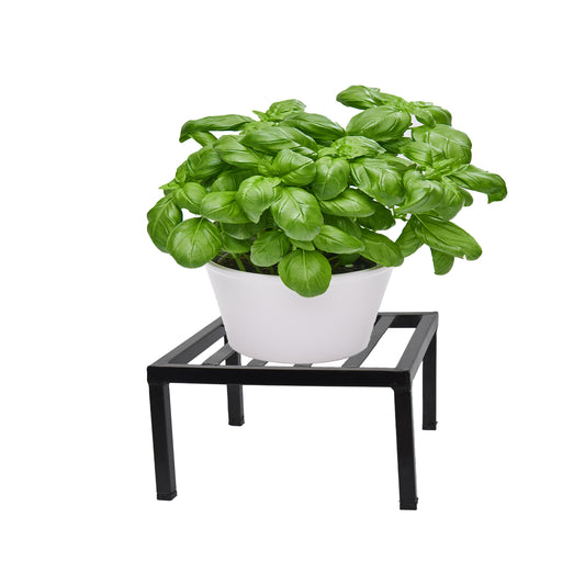 Square Latin Metal Plant Stand(12inch)