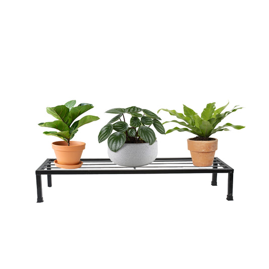 Polver Plant Stand for Pots( 36 inch)