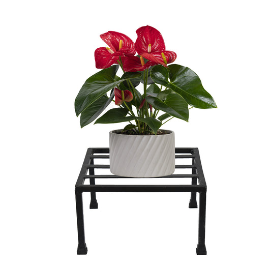 Square Latin Metal Plant Stand