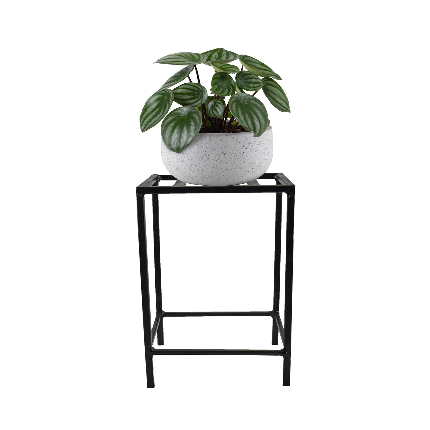 Tulasi Plant Stand for Plants