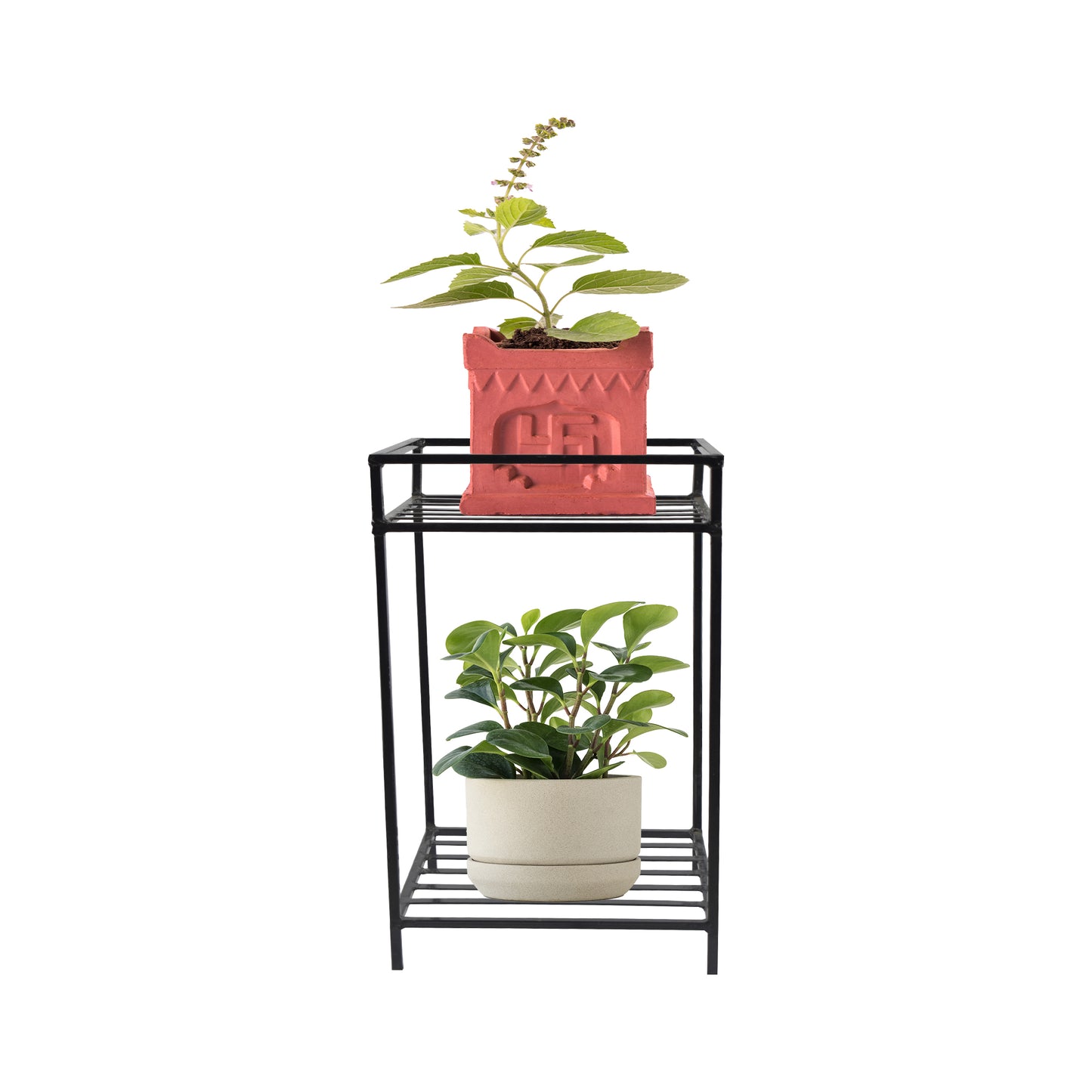 Top Ring Tulasi Plant Stand