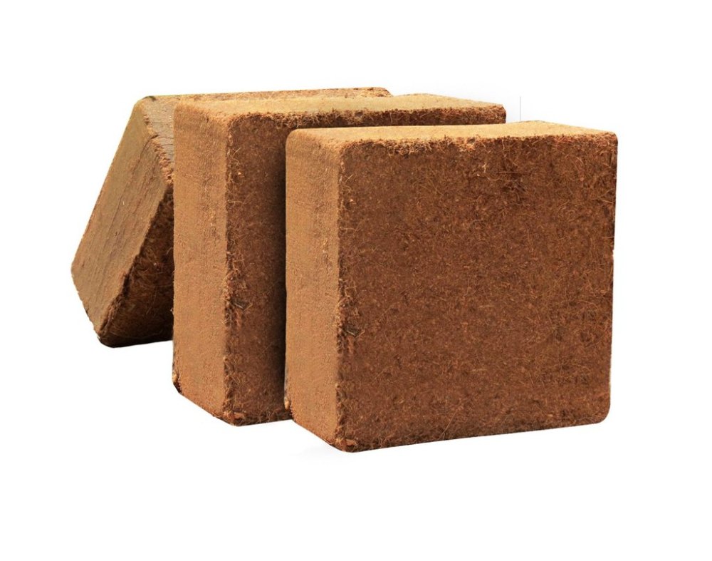 Gardenbasket Cocopeat for plants
