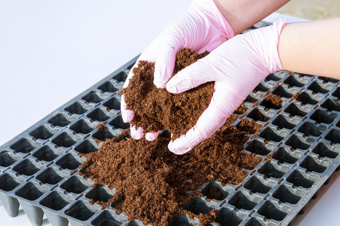 Gardenbasket Cocopeat for plants